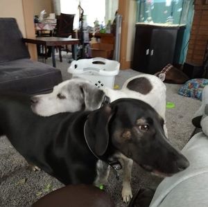 Meet your Posher, Jackie